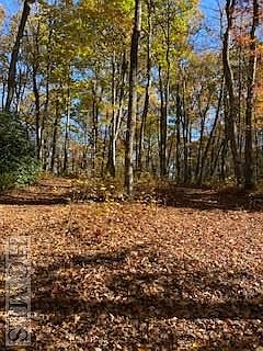 5th image of Tract 11 Lake Sequoyah Drive