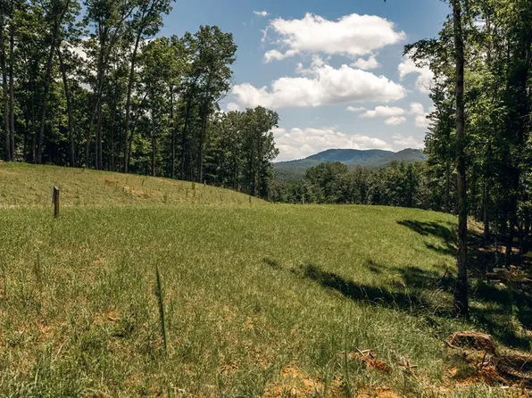 133 Ridges Of Blue Rdg, Morganton, GA 30560