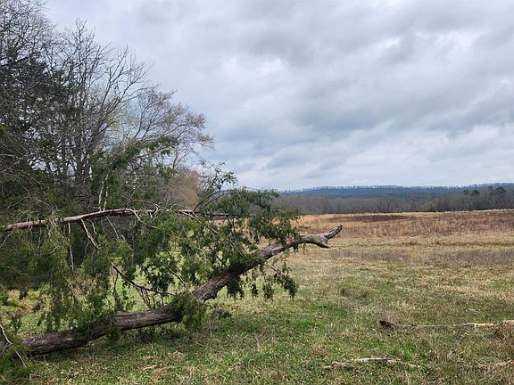 3rd image of Albert Pike Rd