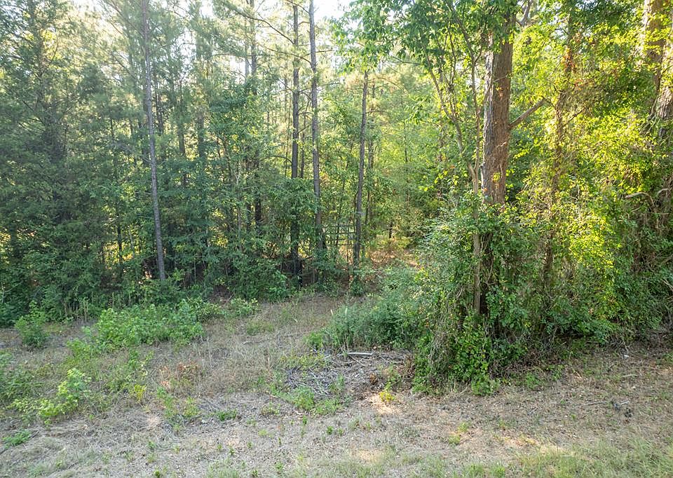 0 Fm 319, Elkhart, TX 75839 MLS 93087 Zillow