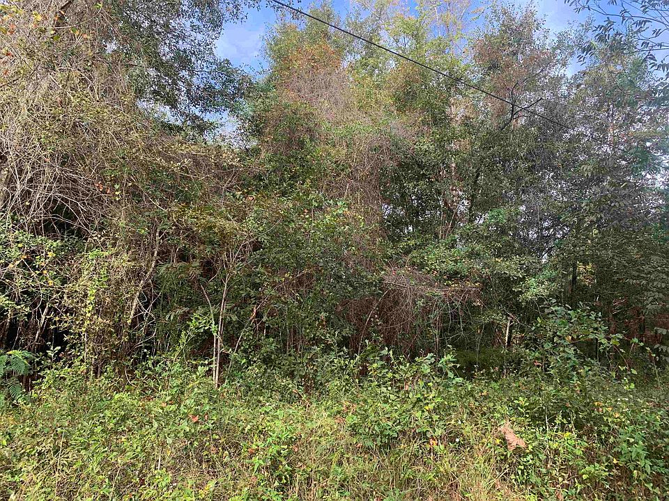 2nd image of 172 Browning Ln