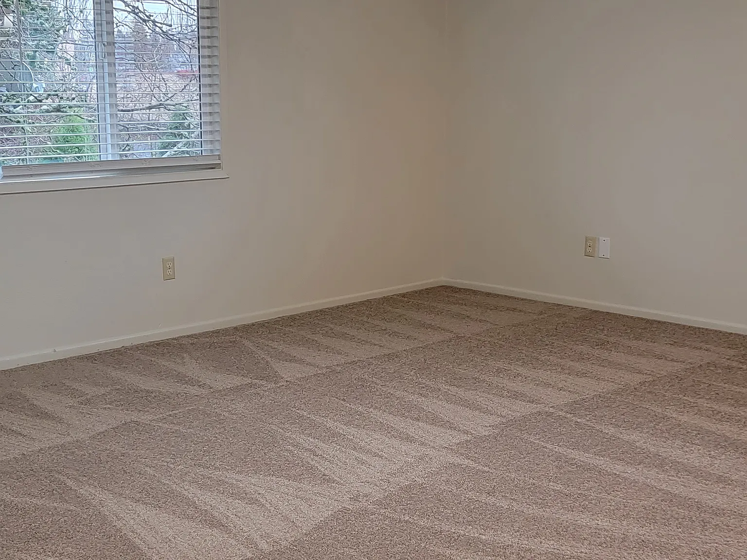 2 bed, 850 sqft, $1,450 — Photo 3