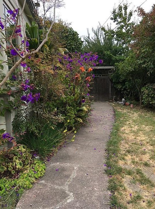 front yard