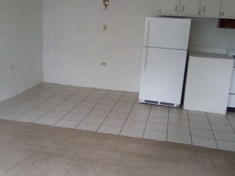 1051 S 4th Ave #34 — Photo 4