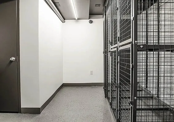 Rented by Argent Advisors LLC | media 11