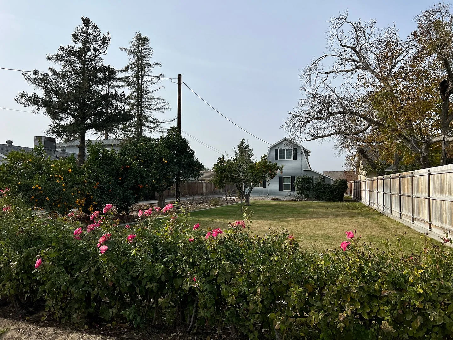 Nostalgic 3-bedroom Farmhouse in Hughson! — Photo 1
