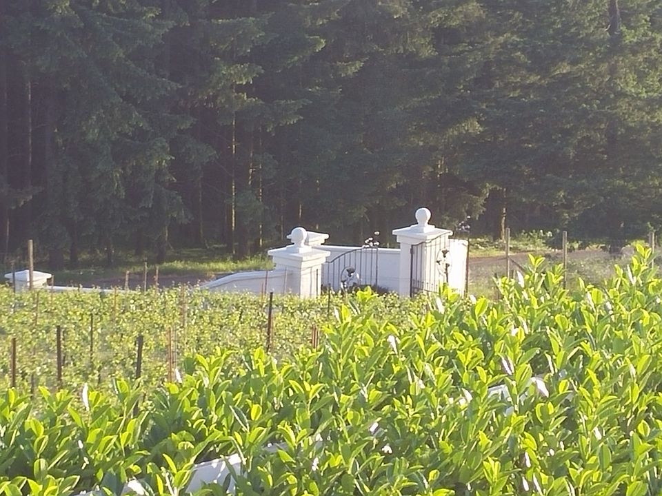 front gate