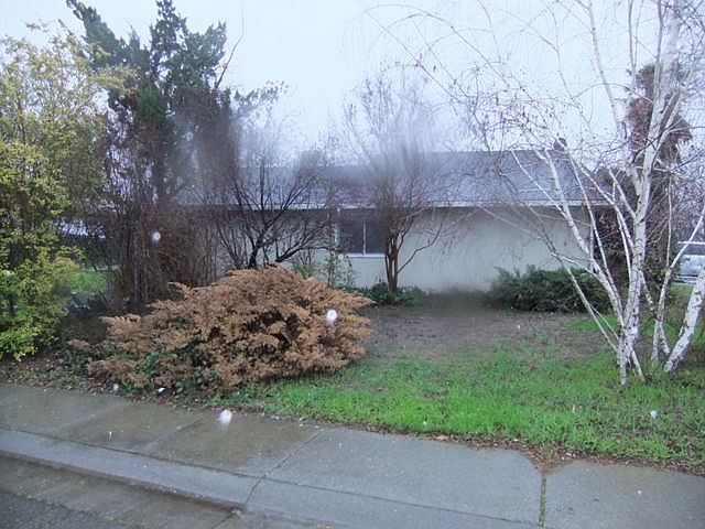2nd image of 313 La Mesa Ct