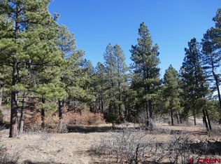 152 Woodland Dr, Pagosa Springs, CO 81147