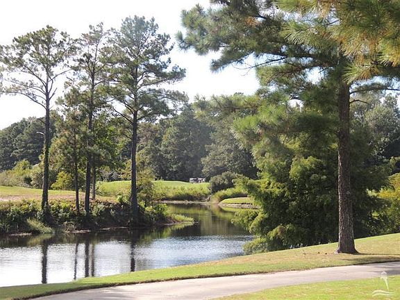 5th image of 484 N Crow Creek Drive
