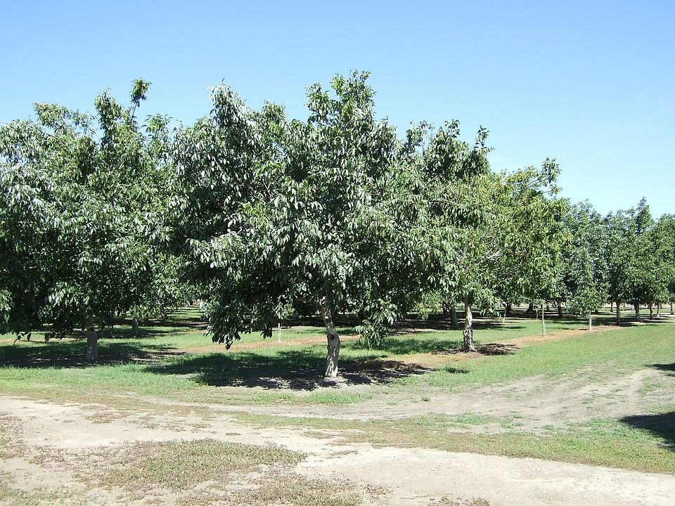 34 Acre ranch with Home