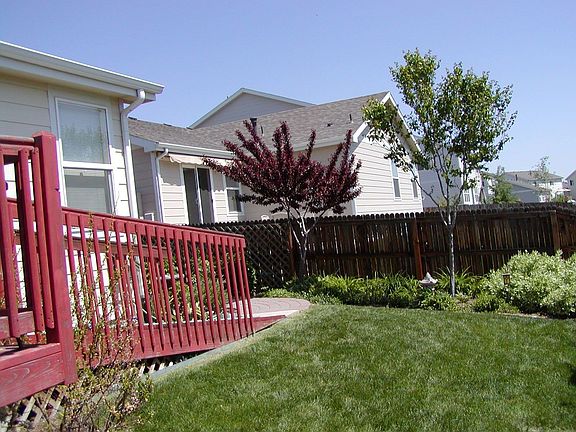 Mid May Noon back yard