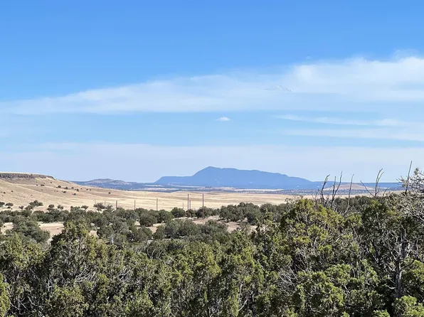 421 Cimarron Dr, Quemado, NM 87829