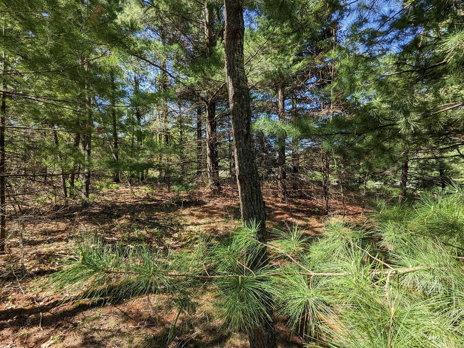 25X 123rd Ave, Hudson, WI 54016 MLS 6374033 Zillow