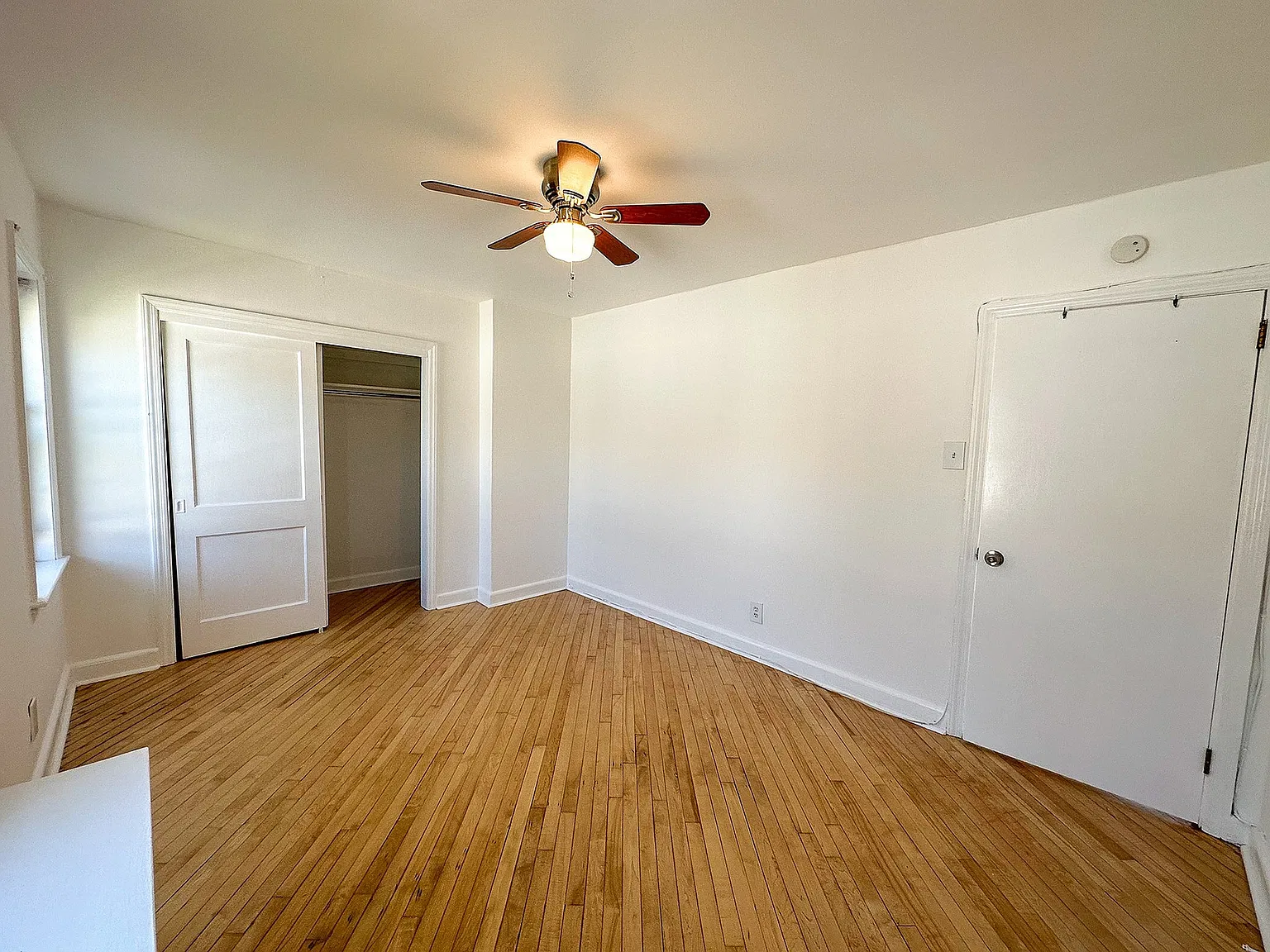 Madison Ave Apartments — Photo 3