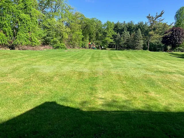 228 Evergreen Ct #32 — Photo 24