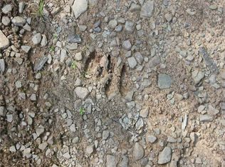 1275 Hayes Rd, Dushore, PA 18614