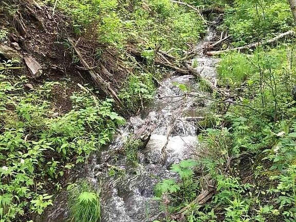2nd image of 0 Danube Ln