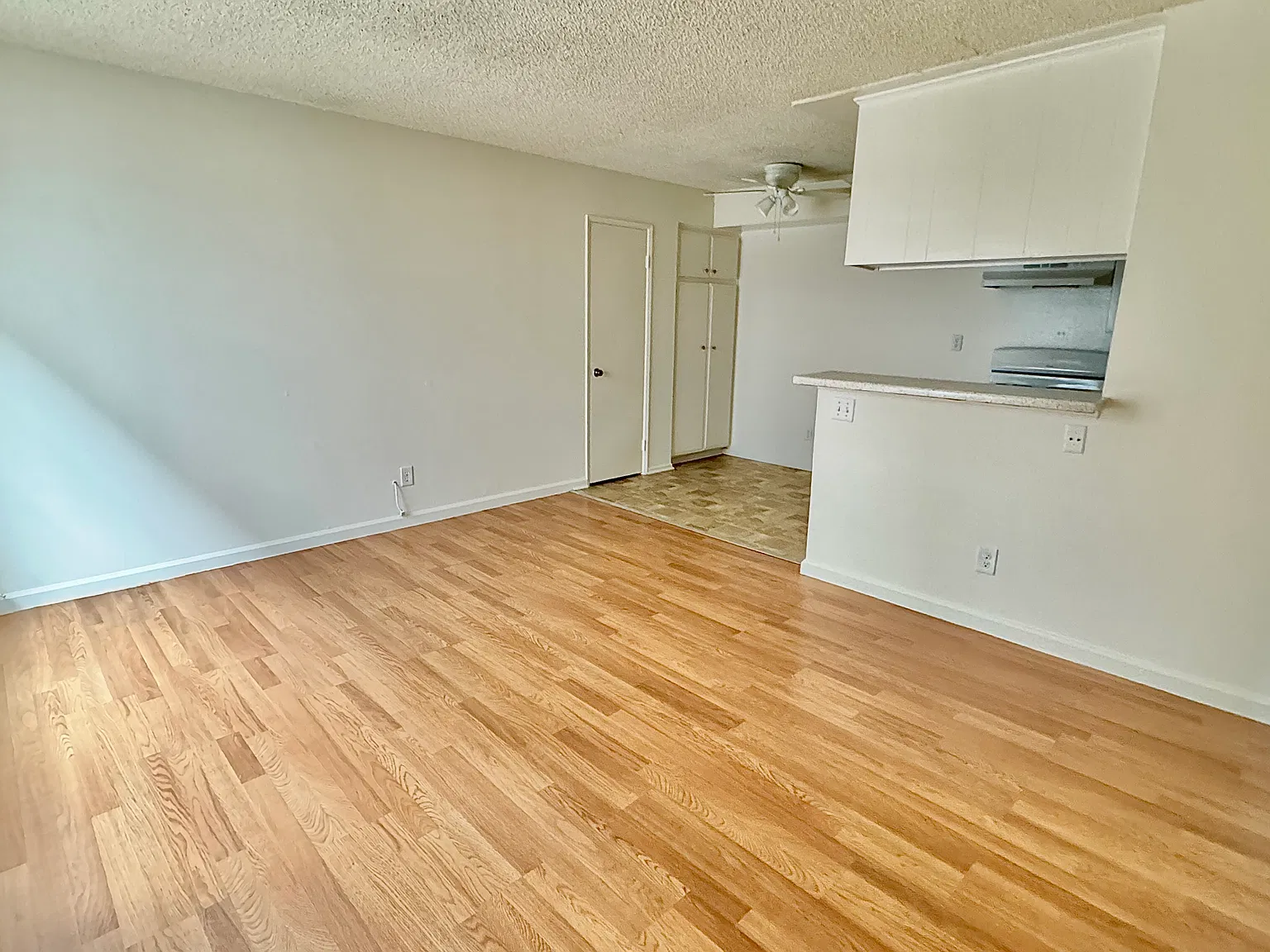 1 bed, 540 sqft, $1,725 — Photo 4