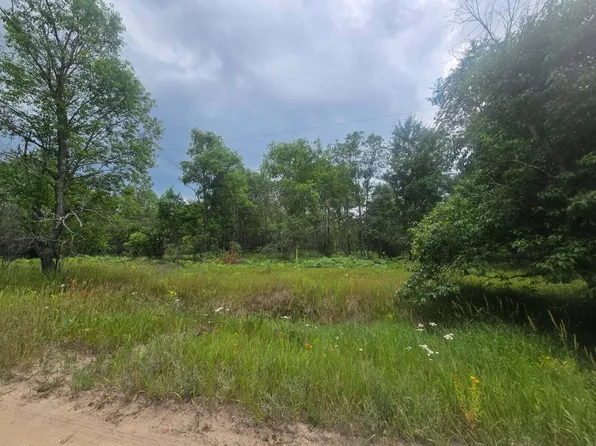 11660 Behlke Rd SE, Fife Lake, MI 49633