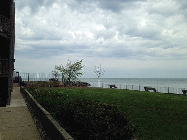 Looking north- private yard.