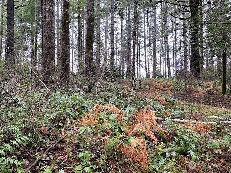 3rd image of 0 Elk Street