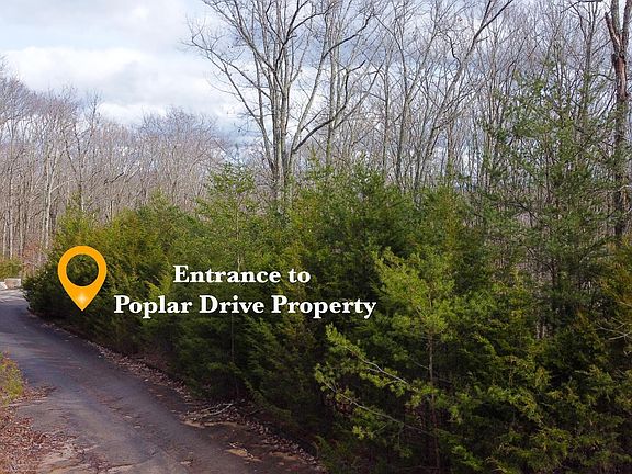3rd image of 0 Poplar Ave