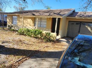 10115 Hunters Point Ct, Tampa, FL 33615
