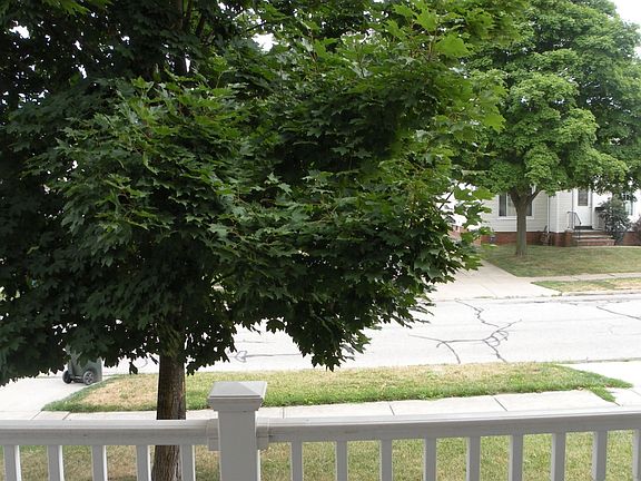 View from front porch.