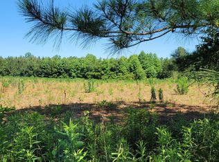 LOT 2 Savage Rd, Spring Hope, NC 27882