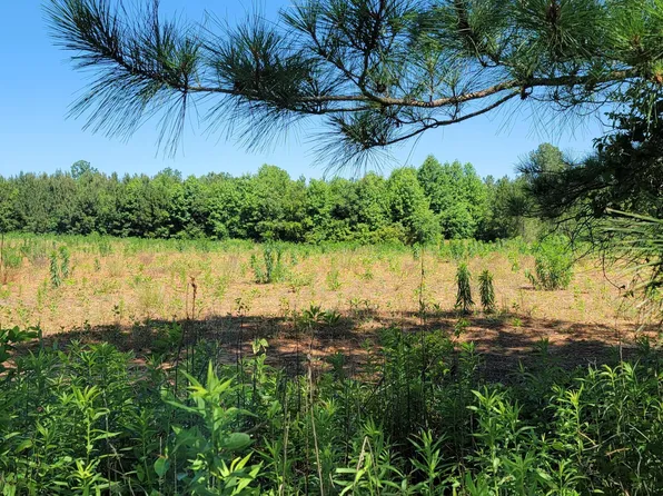 LOT 2 Savage Rd, Spring Hope, NC 27882