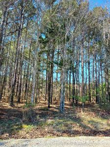 6 Manzanares Dr, Hot Springs Village, AR, 71909