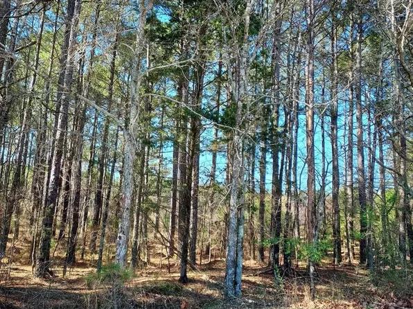 6 Manzanares Dr, Hot Springs Village, AR 71909