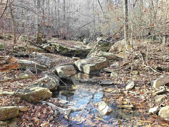 0 Witt Spgs, Marshall, AR 72650