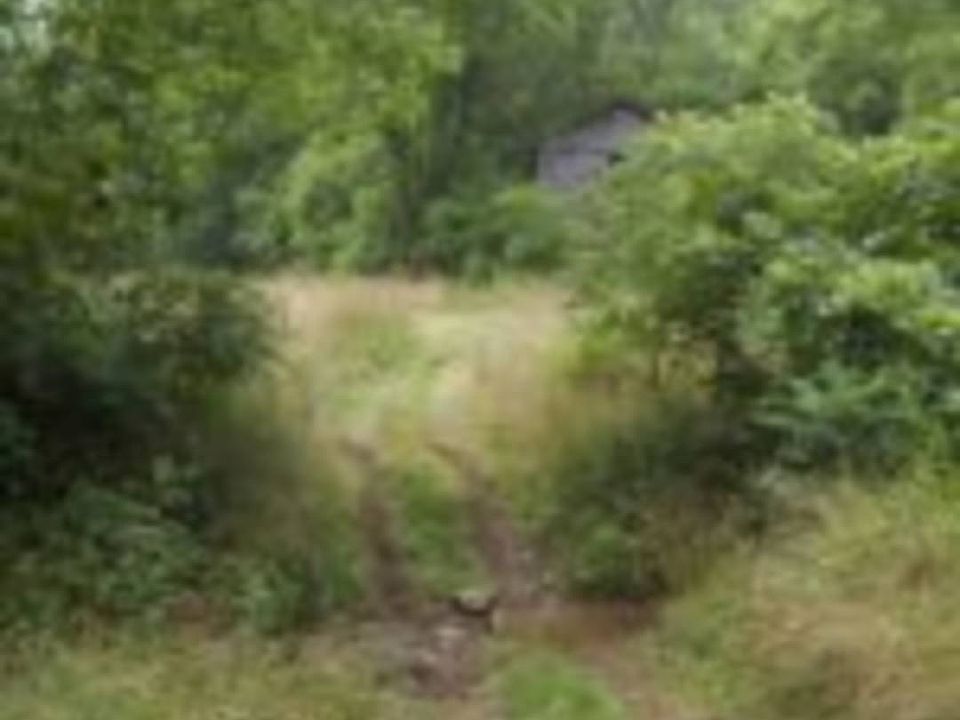 1st image of 2226 State Highway 955