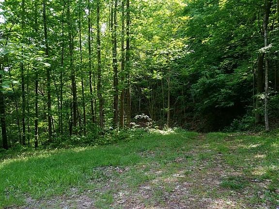 5th image of 3212 Bristol Hwy