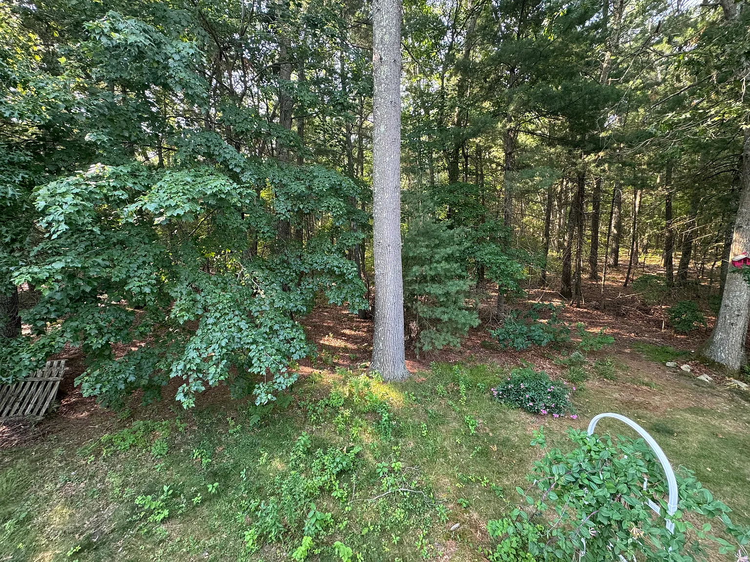 3 bed, 2.5 bath, 1706 sqft, $3,500 — Photo 4