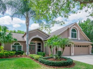 10174 Whisper Pointe Dr, Tampa, FL 33647
