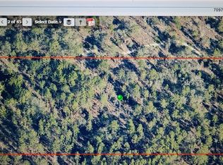 7097 S Blackberry Point, Homosassa, FL 34446