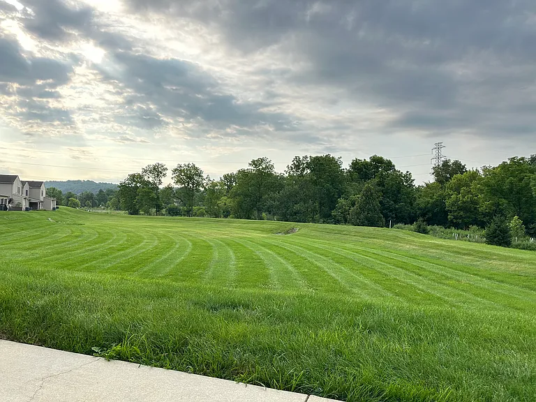 Gorgeous Backyard View