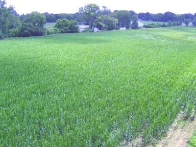 0 Belleville St, Lebanon, IL, 62254