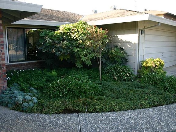 2nd image of 513 Del Oro St