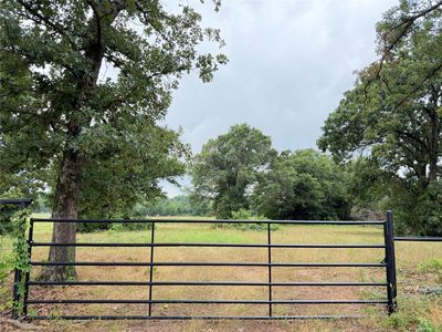 Fm 1000, Cookville, TX, 75558