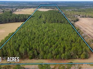 81 Acres Union Rd, Florala, AL 36442