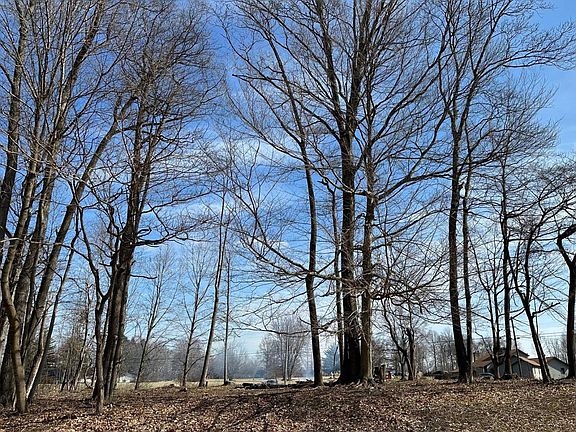 3rd image of 368 W Oneida Trl Lot 368