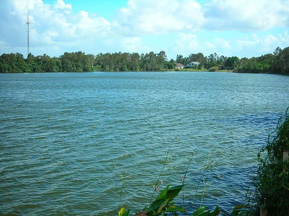 Surrounding Lake