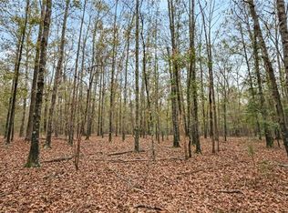 927 Hunter Rd TRACT 5, Ellaville, GA 31806