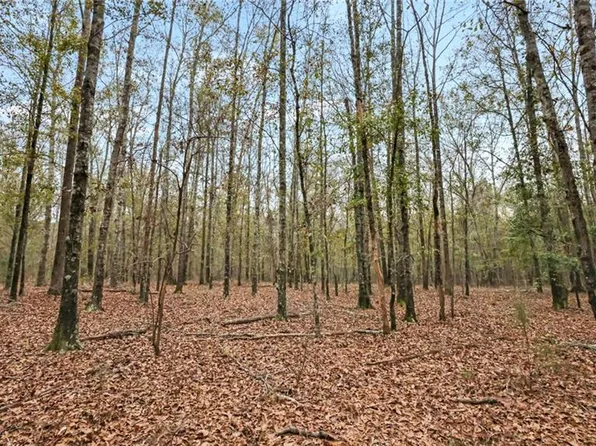 927 Hunter Rd Tract 5, Ellaville, GA 31806