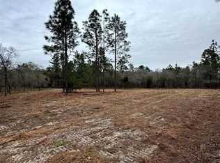 SE 133rd Ter LOT 31, Morriston, FL 32668