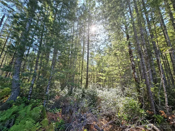 0 XXX 5 AC NE Dewatto Hills Road, Tahuya, WA 98588